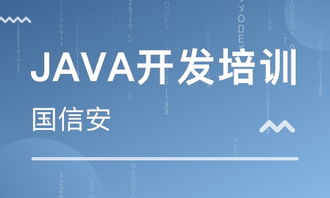 成都四川國(guó)信安職業(yè)培訓(xùn)學(xué)校 河北新聞網(wǎng)推薦品牌，專注軟件外包服務(wù)