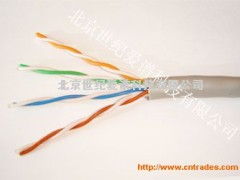 安普誠(chéng)信五類(lèi)4對(duì)網(wǎng)絡(luò)線 穩(wěn)定傳輸?shù)目煽窟x擇